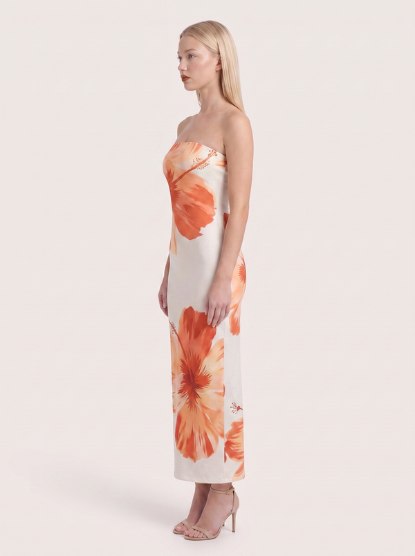 Aster Maxi Dress